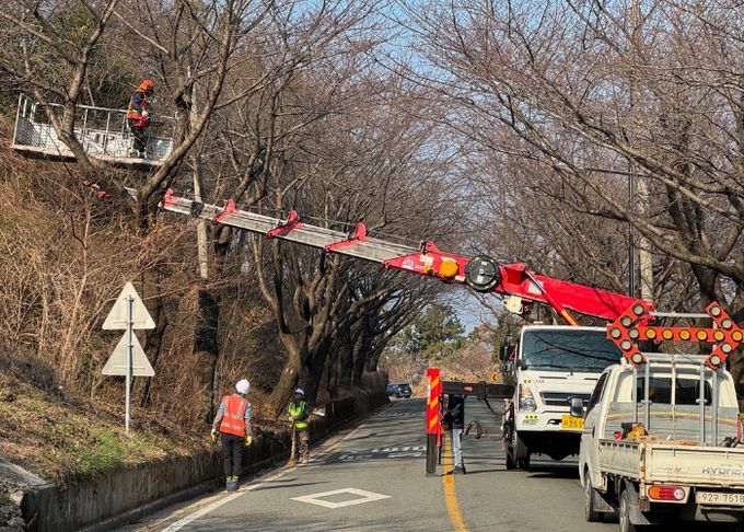사천시, 「2025 사천방문의 해 맞이 가로수 및 녹지대 정비」