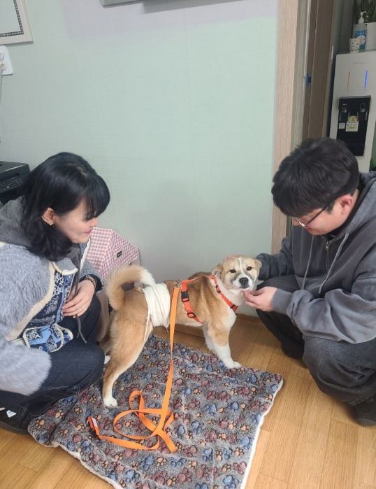 사천시, 유기동물 입양률 경남 1위