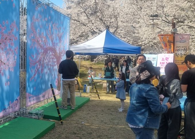 제6회 선진리성 벚꽃축제 성료