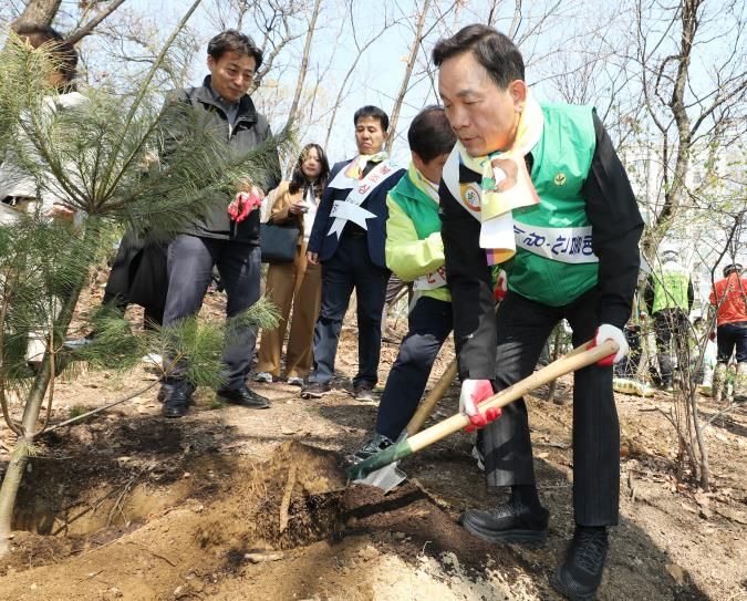 강남구, 식목일 맞아 매봉산에 8천 그루 나무 심어