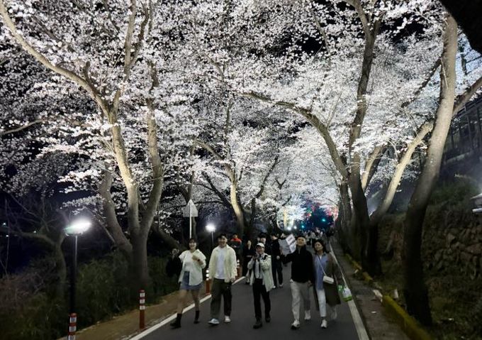 하동 관광 사진