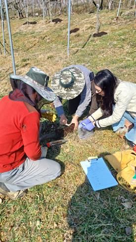 산청군 과수농가 맞춤형 컨설팅 진행