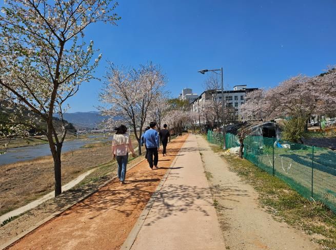 산청군, “강변의 계절 향기 느끼며 황톳길 걷자”