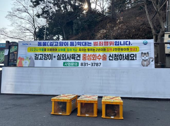 사천시, 길고양이 중성화(TNR) 수술 순조롭게 진행 중!