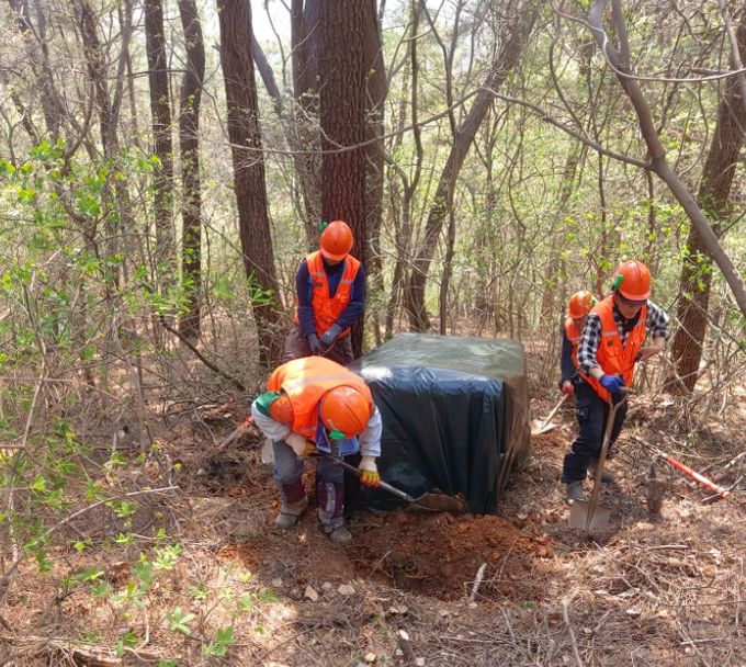 다각도 방제 추진
