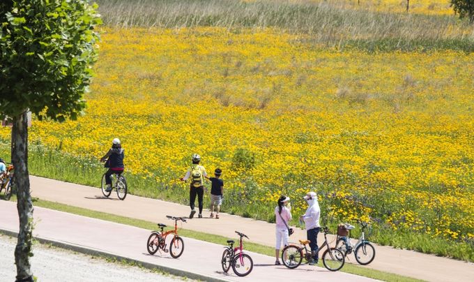낙동강체육공원 자전거