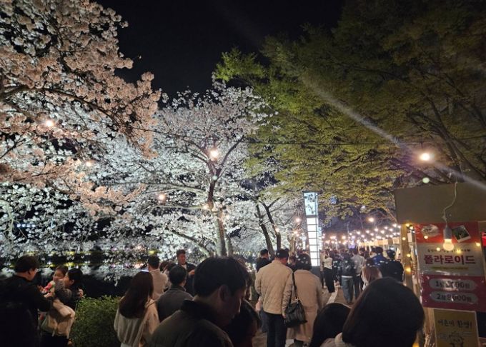 강원도에서 제주까지! 역대 최다 인파 25만 명 연화지 방문