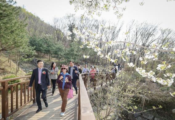 우면산 무장애숲길 2단계 구간 사진