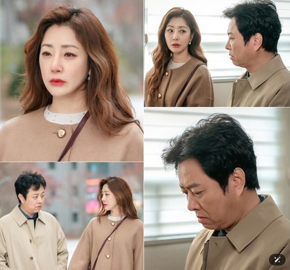 사진 제공 : 스튜디오 플럼