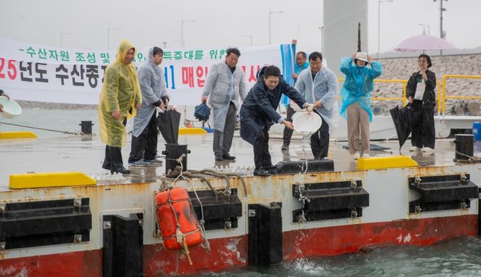 인천 중구, 삼목항에 어업인 소득증대를 위한 어린 점농어 35만미 방류