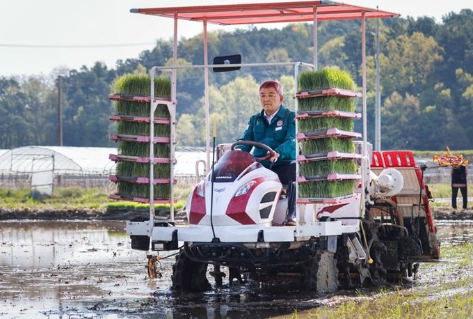 예천군, 개포면 경진리에서 올해 첫 모내기 실시