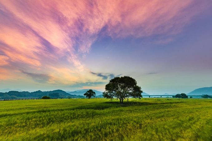 함안 강나루생태공원