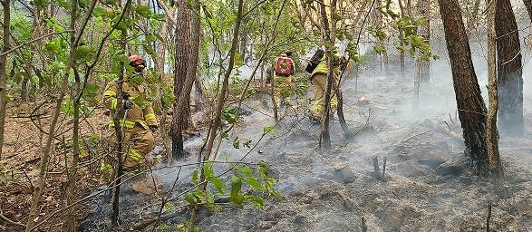 대구소방안전본부, 민가 방어선 구축...산불 확산 저지 총력