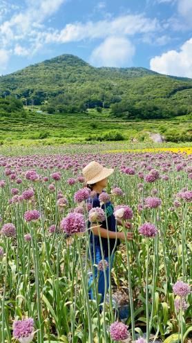 마이굿플레이스 사진공모전 완료 = 나만 알고 싶은 남해 두모마을 야생화 관광단지