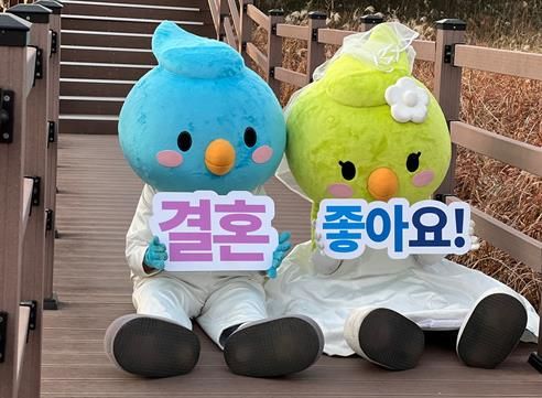 달이서리 결혼 홍보 사진