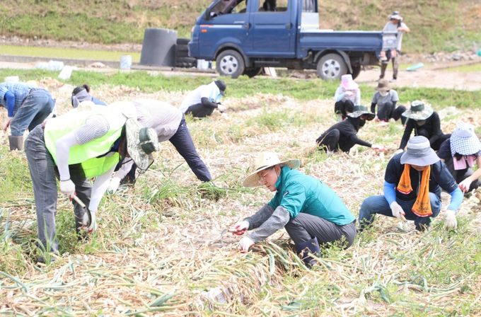 의령군, 농번기 범군민 농촌일손돕기