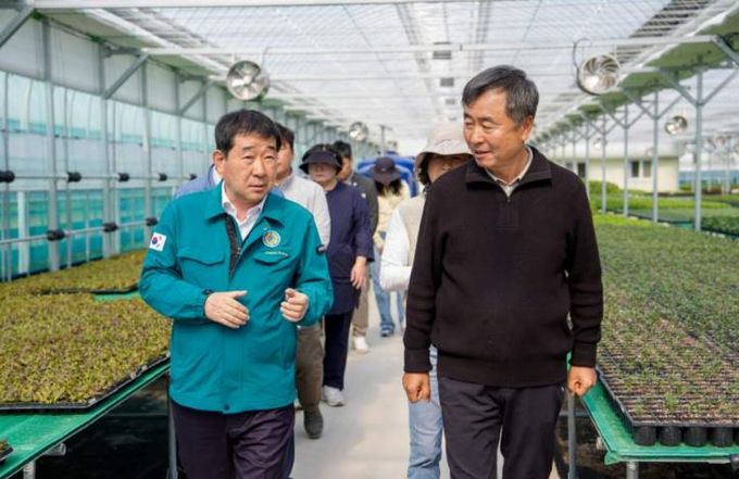 이재영 증평군수 영농 현장(육묘장) 점검