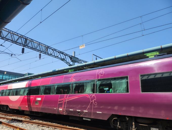 남원시, 상반기 와인열차로 2,600명 유치!