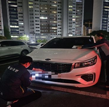 김해시 체납차량 야간 번호판 영치