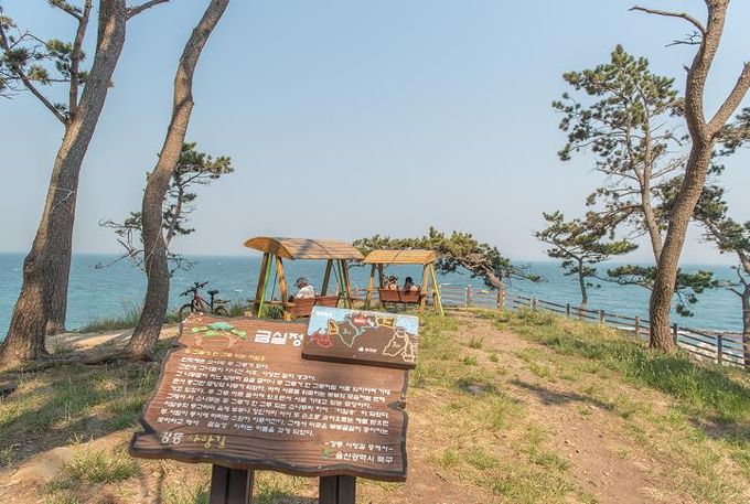 스탬프투어 ‘트래블로드 금실정