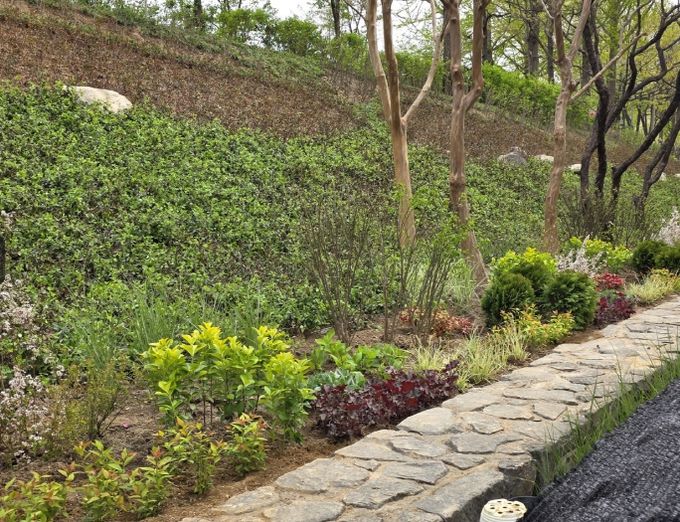 이문동 빗물펌프장 주변 녹지 공간을 활용해 조성된 ‘이문 꽃언덕길’