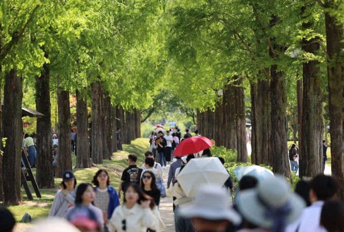 순천만국가정원 4일 ‘하루 10만 명’ 돌파…최다 관람객 경신