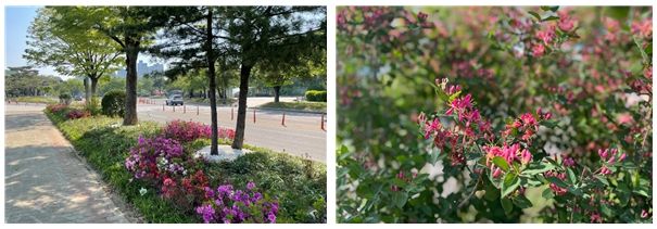 길섶정원 전경과 근경