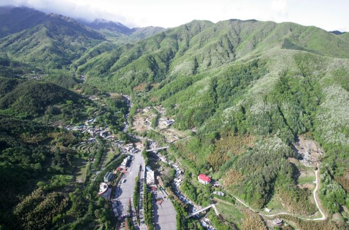 산청군, 산림 내 불법행위 집중단속