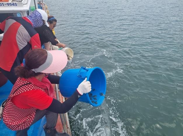 바지락 및 치어 방류