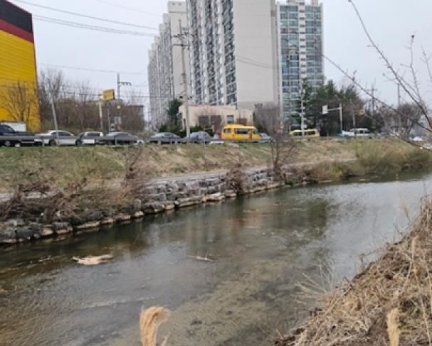 용인시 경안천 조치 후