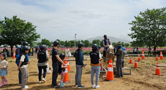 함안군 승마공원, 칠서 청보리·작약 축제 승마체험 행사 운영