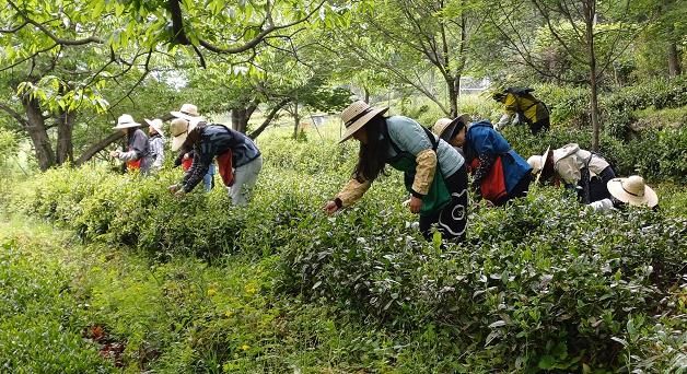 스케일업 프로젝트