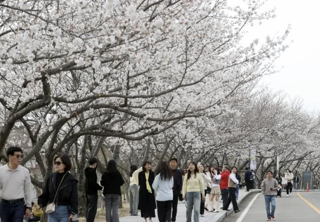 왕인박사 유적지