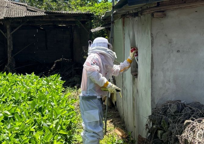 의령군 주택가 벌집제거