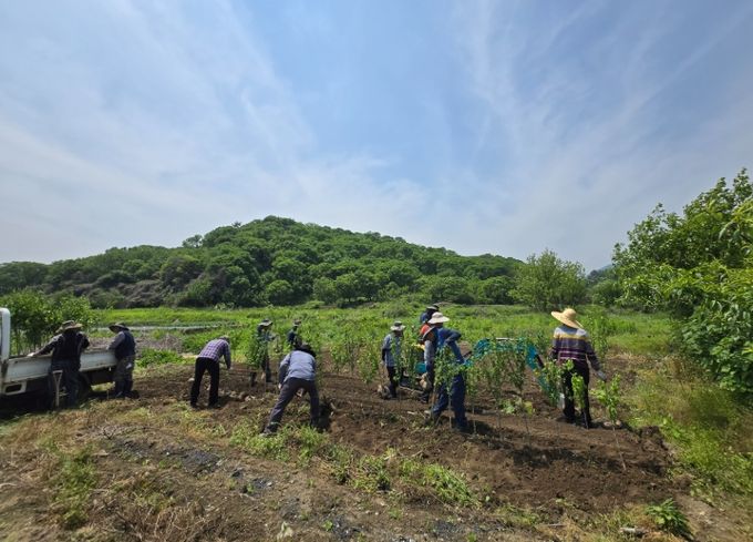 무궁화 1천여 그루 심어 “예쁜 하동” 만들기