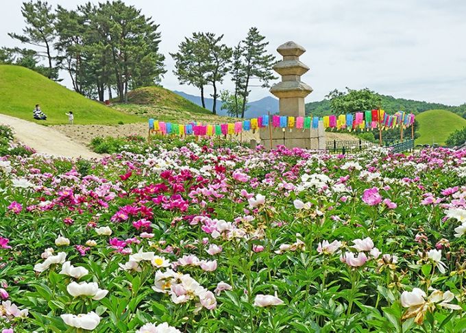 서악동 삼층석탑 작약