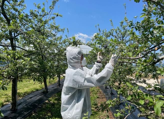 임실군, 과수화상병 예방 정밀 예찰 추진