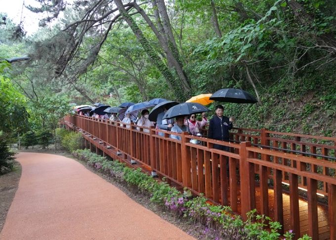 이기대 보행약자 배려길 조성 모니터링