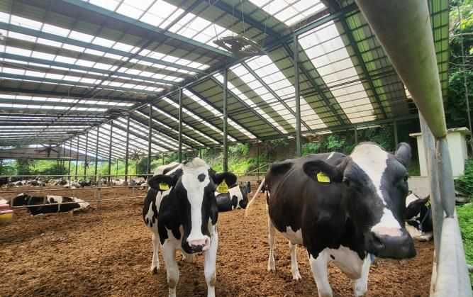 축산농가 관리실태