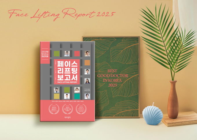 페이스 리프팅 보고서