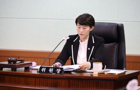 제3차 예결특위