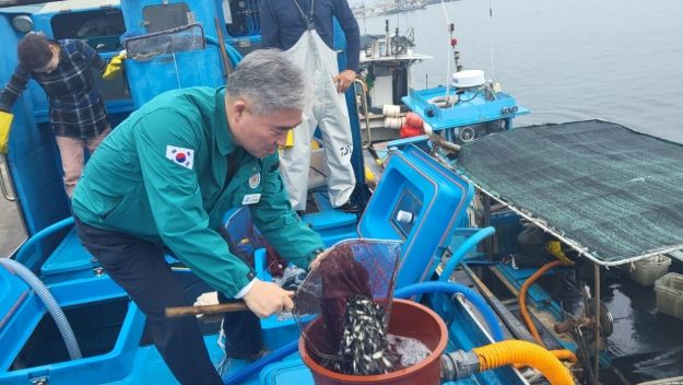 창원특례시, 수산자원 회복 위해 볼락 어린고기 방류