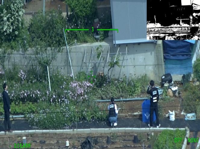 해상 넘어 하늘까지... 완도해경, 마약류 밀경작 정조준