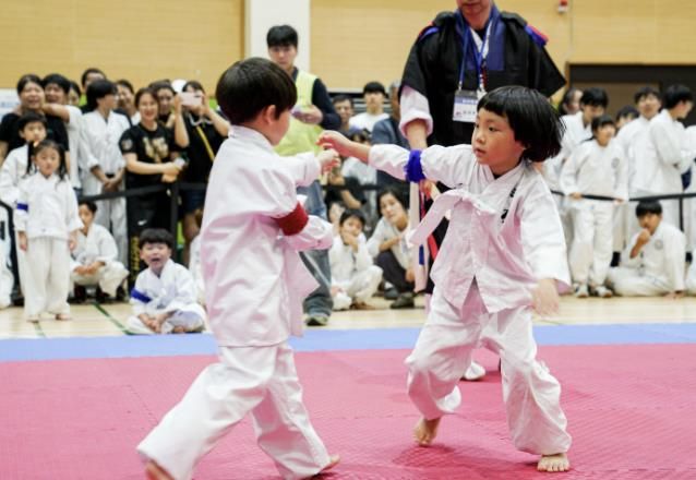 '제23회 전국택견한마당(송암배)' 충주서 개최