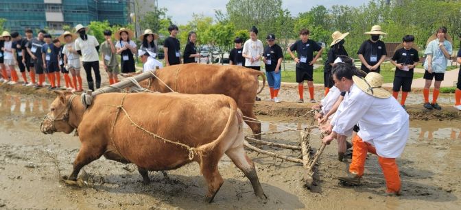 전통 농경문화 보존 위한 업무협약 체결