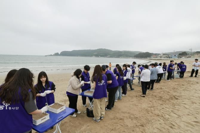 완도군, 바다 식목일 기념 잘피 씨앗 파종