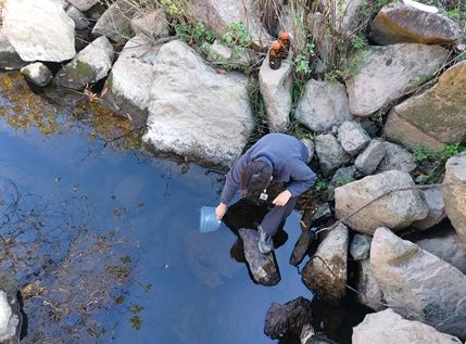 김해시 주요 하천 미량오염물질 수질 조사