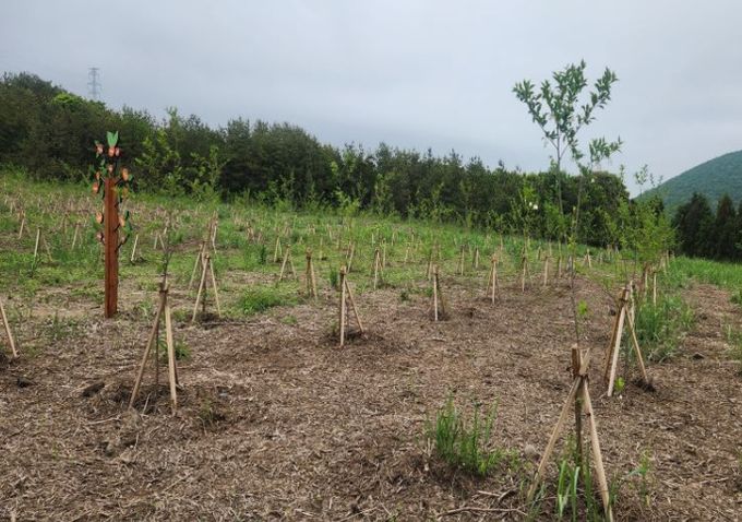 지속가능 산림자원 조성