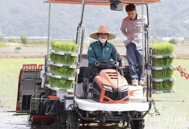 쌀 산업 새로운 도약 기대-최재형군수가 이앙기를 이용해 모를 심는 모습