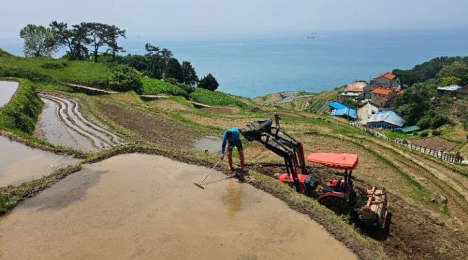 가천다랑이논 보존회 모내기